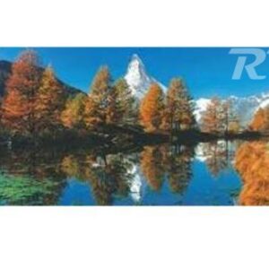 Puzzle 1000 piezas Ravensburguer 15106